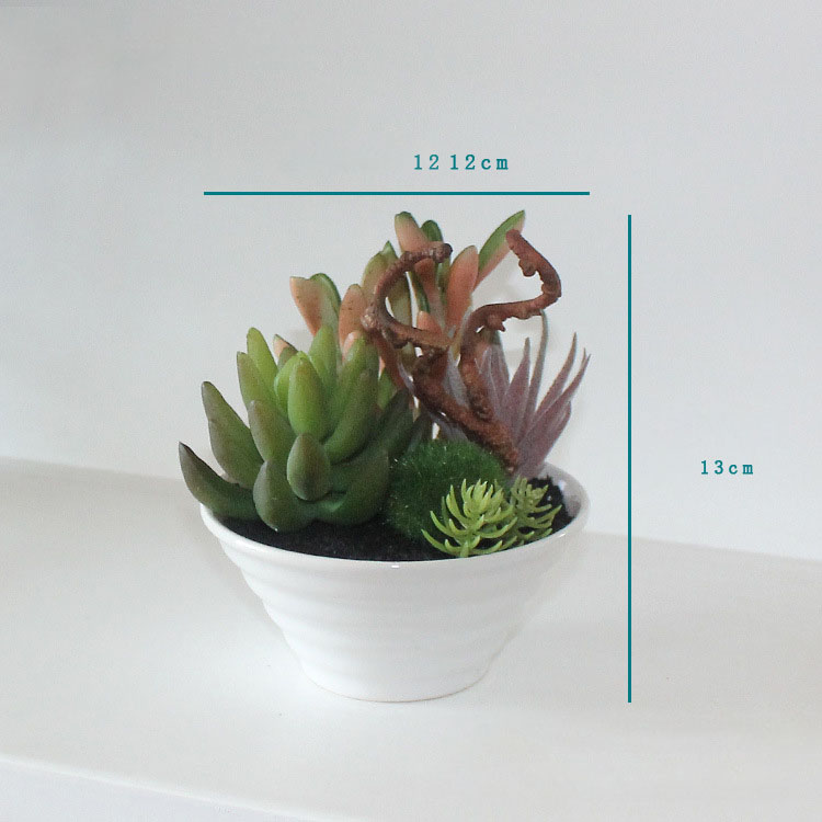 Mini-White-Pots-Simulation-Plant-Aloe-Vera-Immortal-Finger-Potted-Plants-1183035