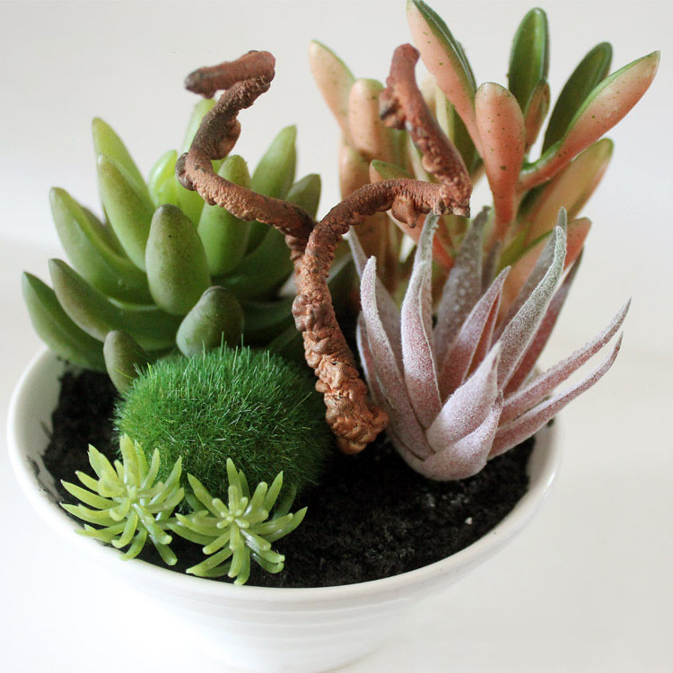 Mini-White-Pots-Simulation-Plant-Aloe-Vera-Immortal-Finger-Potted-Plants-1183035