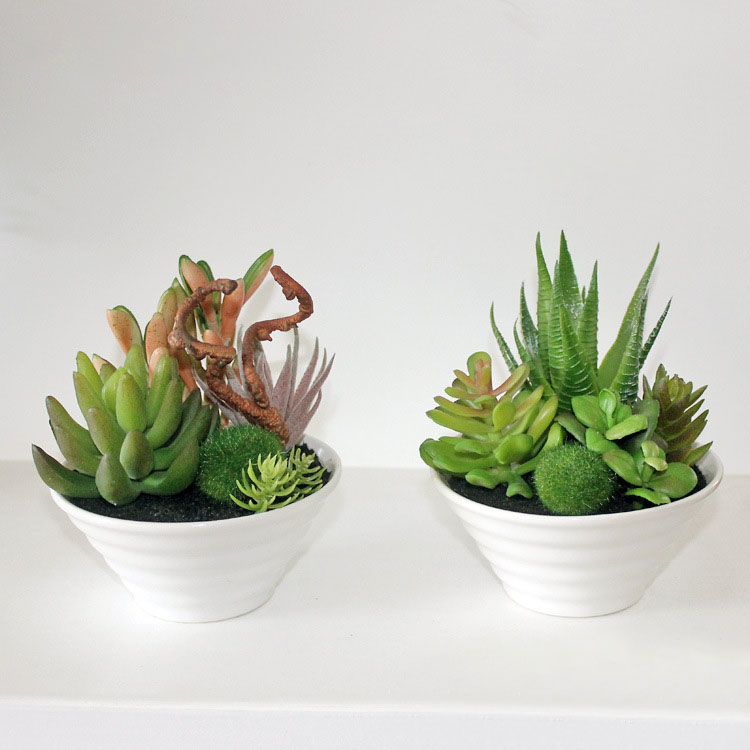 Mini-White-Pots-Simulation-Plant-Aloe-Vera-Immortal-Finger-Potted-Plants-1183035