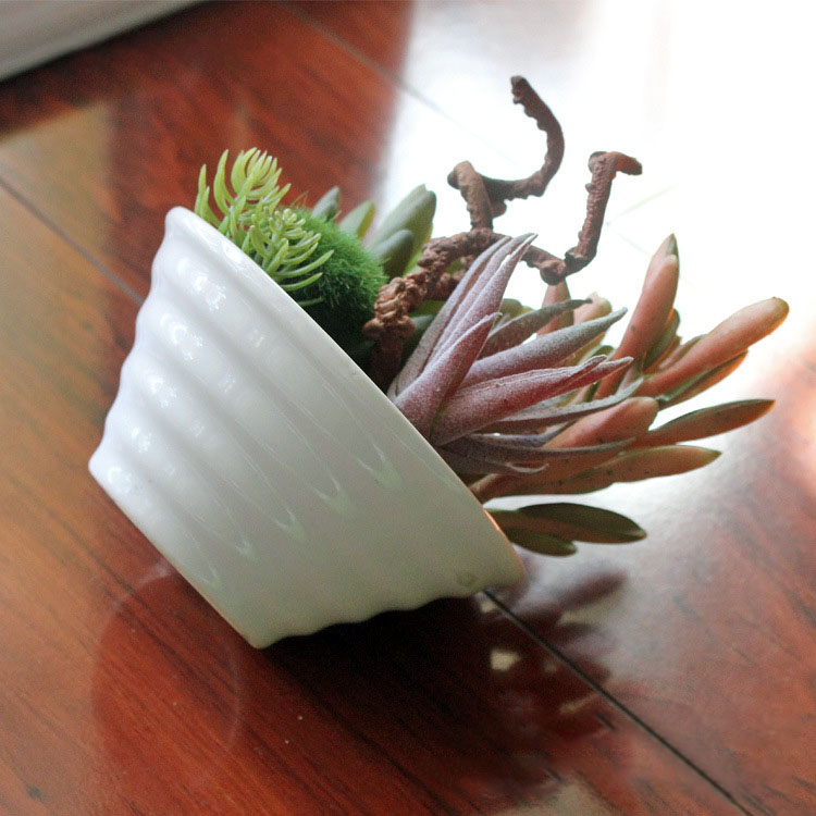 Mini-White-Pots-Simulation-Plant-Aloe-Vera-Immortal-Finger-Potted-Plants-1183035