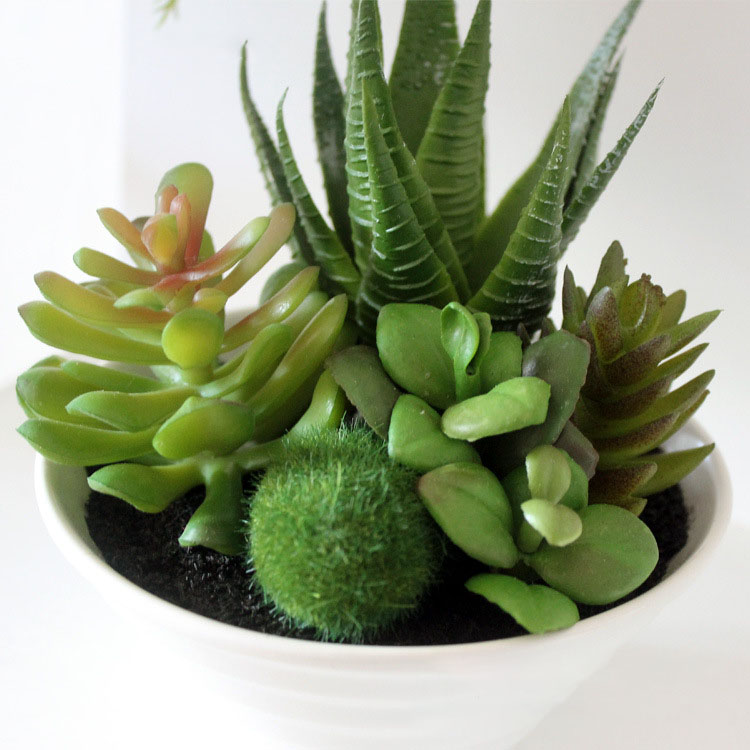 Mini-White-Pots-Simulation-Plant-Aloe-Vera-Immortal-Finger-Potted-Plants-1183035