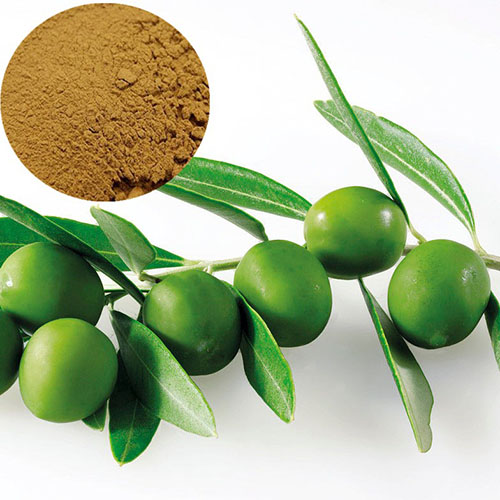 Natural-101-1Olive-Leaf-extract-powder-32991141993