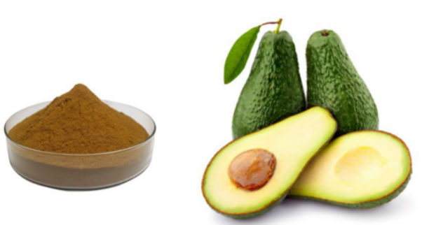 Natural-101-avocado-extract-powder-from-fresh-avocado-with-good-price-32988453506