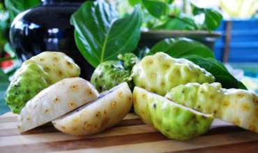 Natural-Noni-Fruit-Extract-Powder-101-32994735795