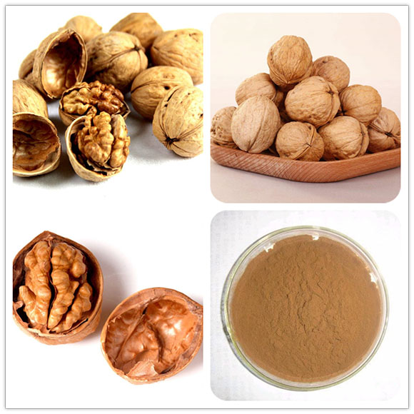 Natural-regia-shell-juglans-nigra-hulls-powder-black-walnuts-bark-extract101-32990325539