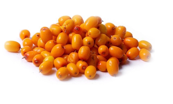 Organic-Sea-Buckthorn-Fruit-extract-powder-101-32991952046