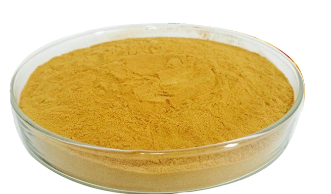 Organic-Sea-Buckthorn-Fruit-extract-powder-101-32991952046