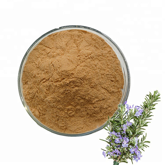 Pure-101-Rosemary-Extract-Powderfree-shipping-32992399144