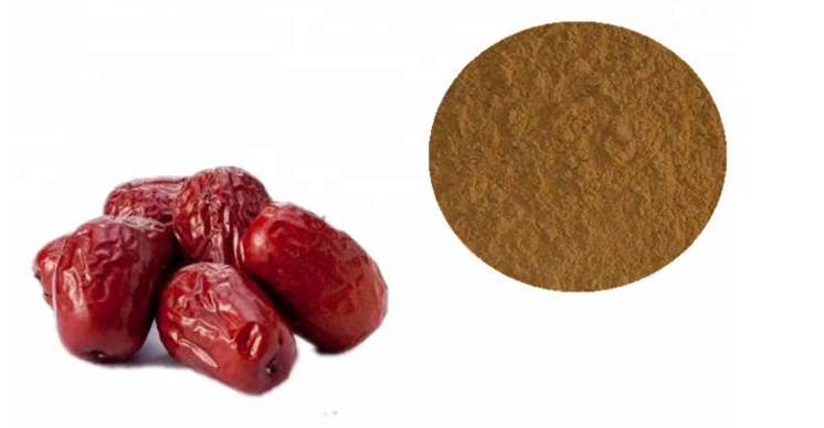 Red-jujube-Extract-powder--red-dates-extract-powder-for-improve-immunity100g-1000g-32983614293