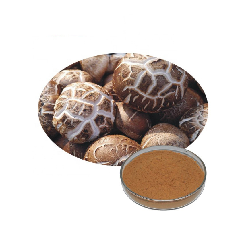 Shiitake-Mushroom-Natural-Extract-Powder-100g-1000g-32985091882