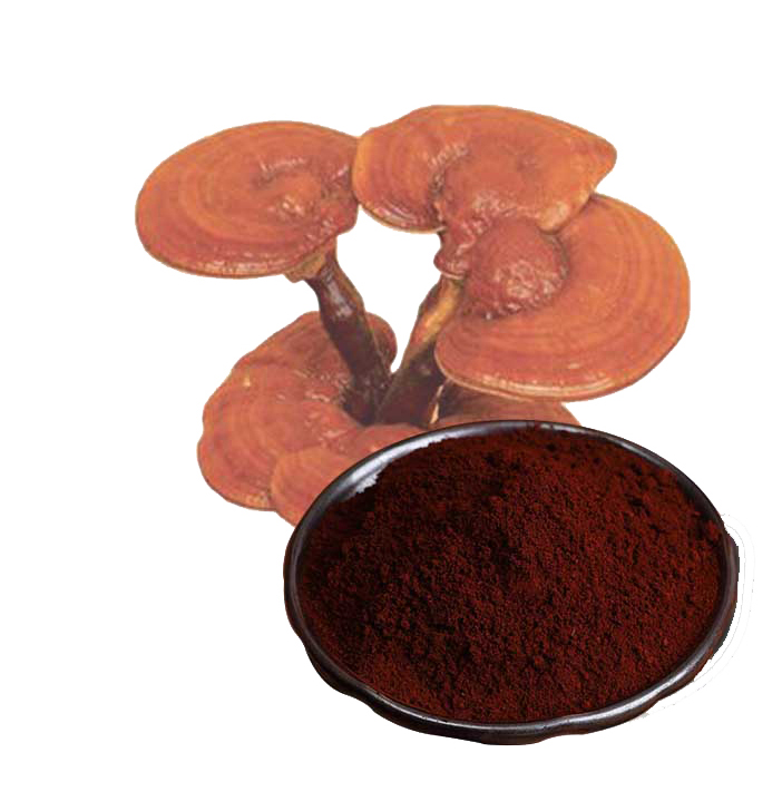 lingzhi-powder-ganoderma-lucidum-spore-powder-lingzhi-spore-powder-32982705175