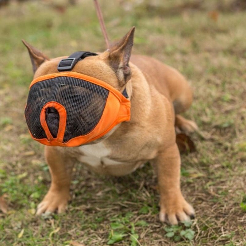 short-snout-muzzle-Special-masks-for-short-nosed-dogs-to-prevent-biting-and-barking--32969302405